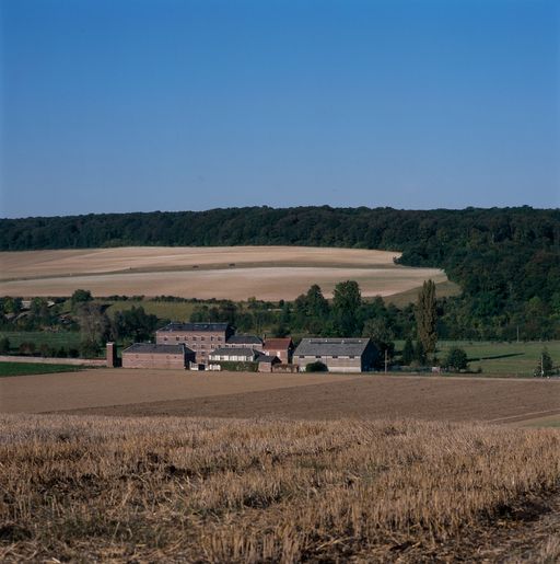Vue d'ensemble du moulin des Forges