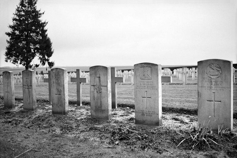 Vue d'une rangée de sépultures de soldats du Commonwealth dans un carré au nord de l'allée centrale.