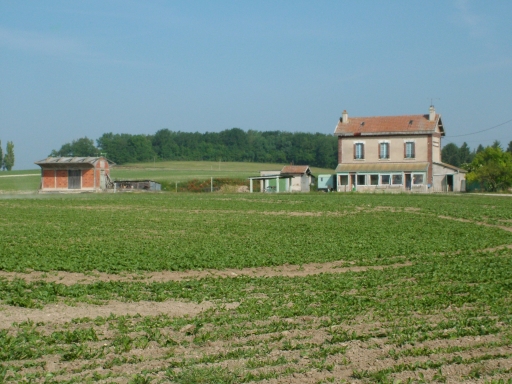 Vue générale.