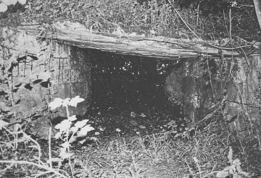 Vue d'un abri en béton armé.