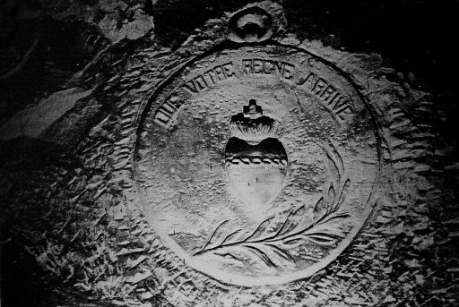 Médaillon contenant le Sacré-Coeur, une palme et l'inscription 'Que votre règne arrive'.