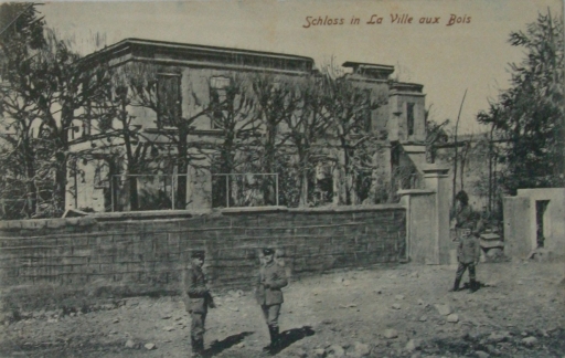 Ruines du château.