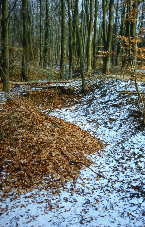 Vue du réseau de tranchées.