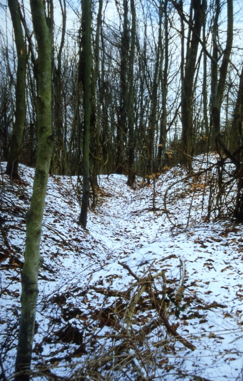 Vue du réseau de tranchées.