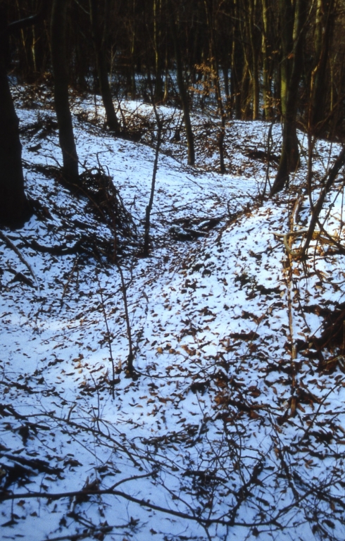 Vue du réseau de tranchées.