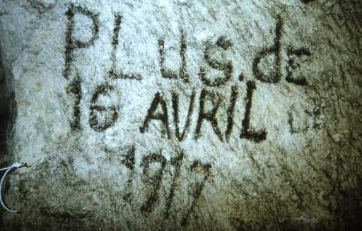 Vue d'une inscription.