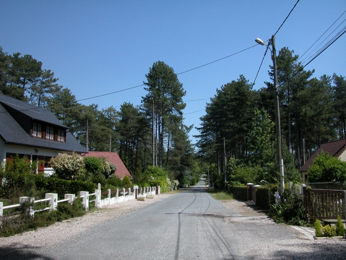 Avenue des Sapins, vue vers l'est.