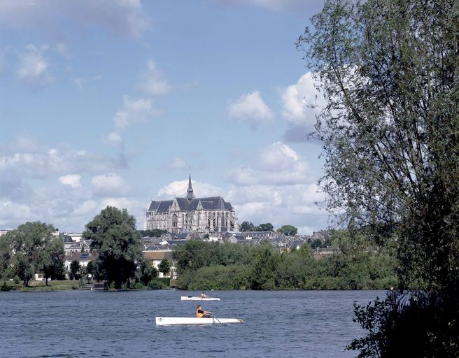 Vue générale de la collégiale et de son environnement, depuis le sud.