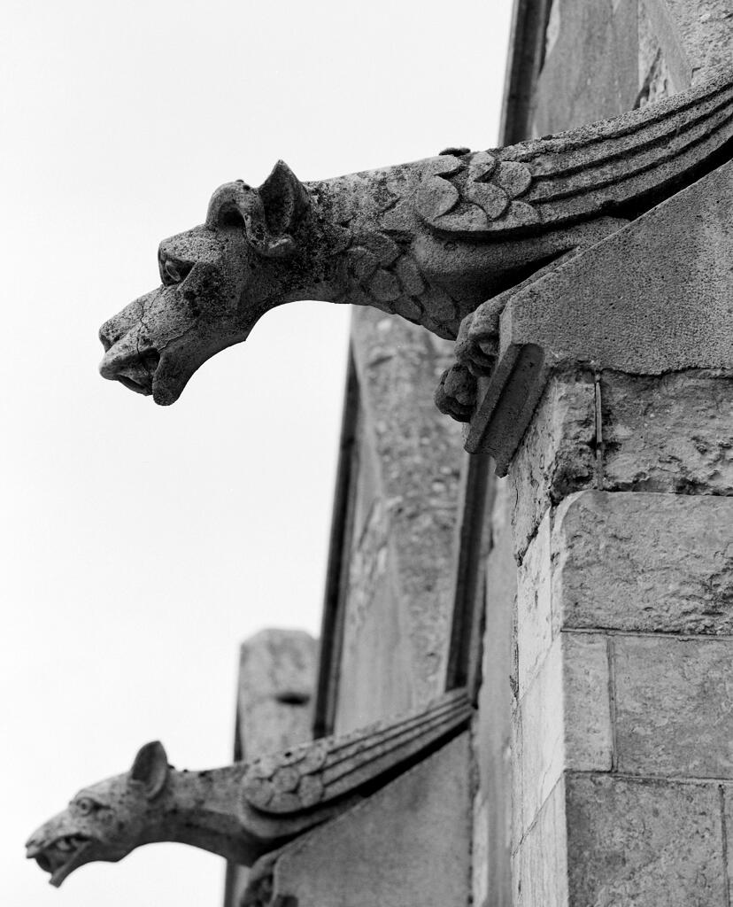 Nef, élévation extérieure Sud, gargouilles