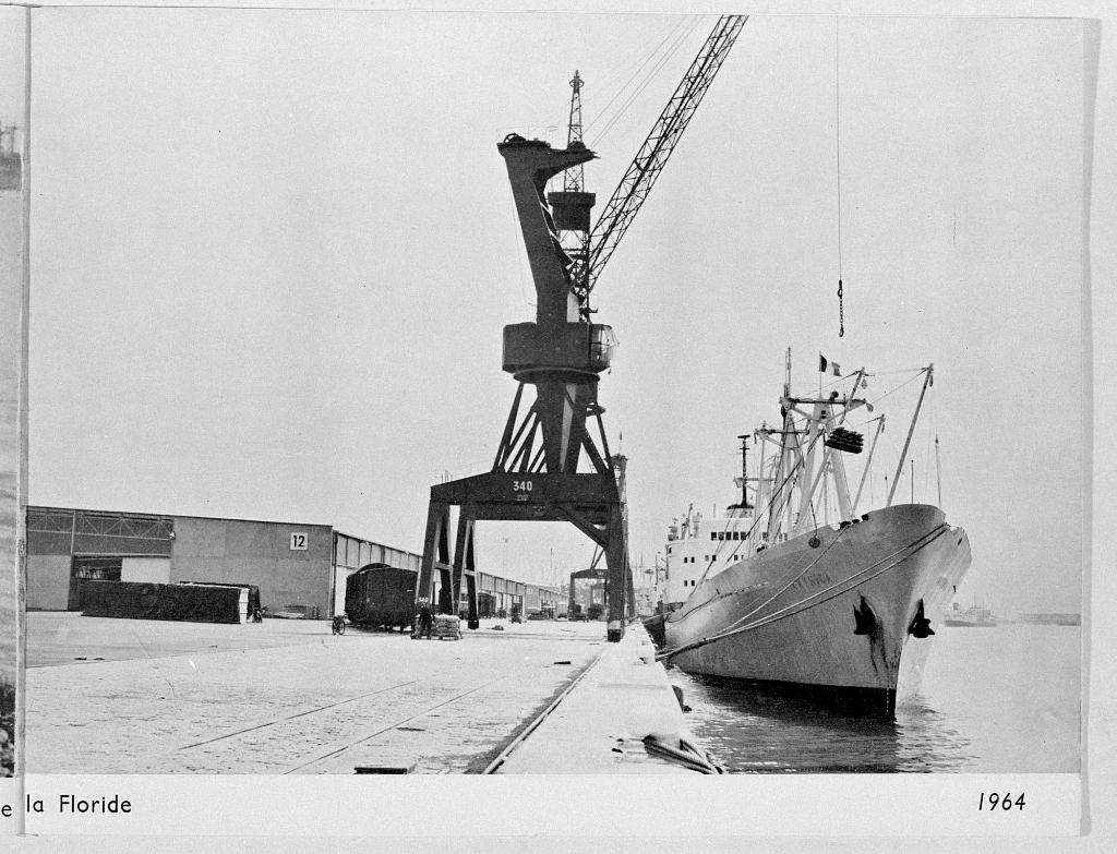 Ve du quai Johannès Couvert.- Photographie,  par Fernez, 1964, tirée de Le Havre 1944-1964 (BM Le Havre).