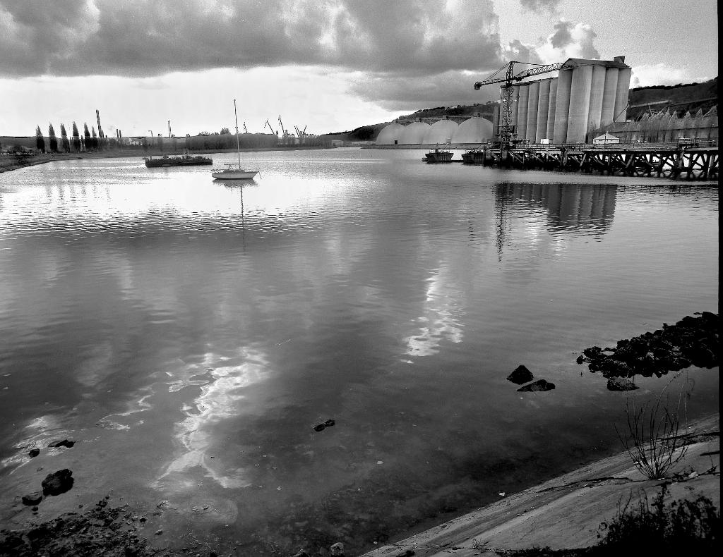 Darse des docks