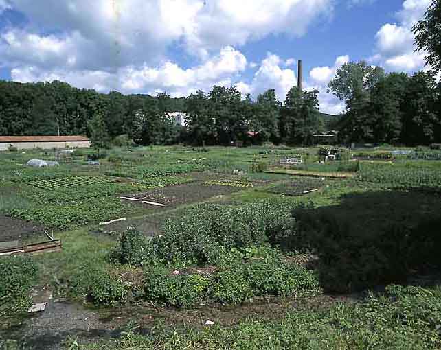 Jardins ouvriers, vue générale.