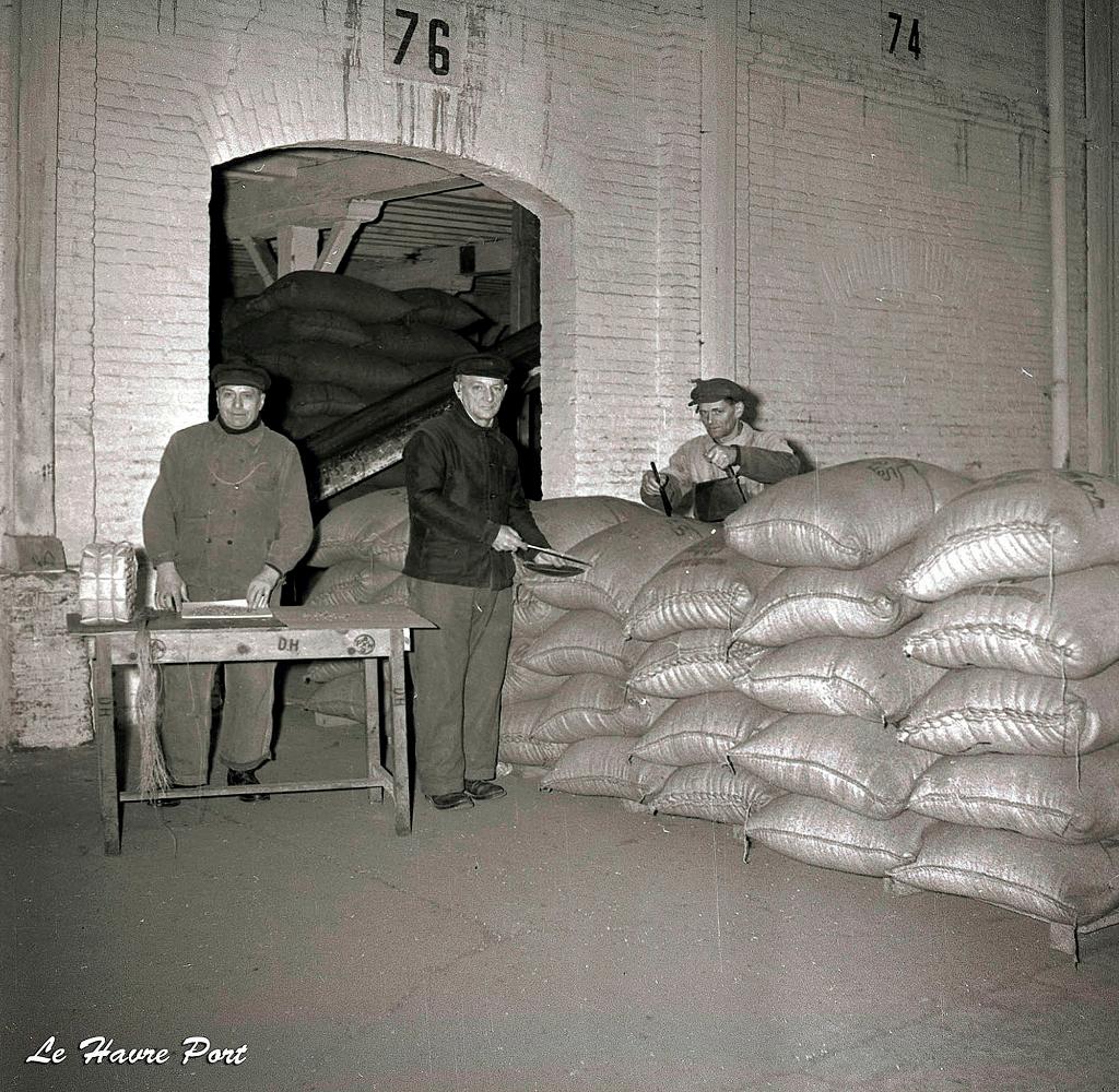 Vue intérieure, controle des sacs de café.- Photographie, vers 1950 (Grand Port maritime du Havre).