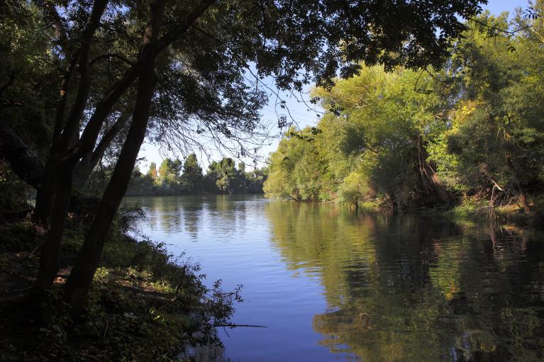 Point de confluence de l'Andelle et de la Seine à Pitres. ; Point de confluence de l'Andelle et de la Seine à Pitres.