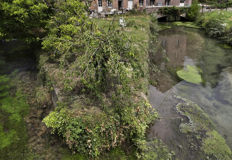 Canal d'amenée à droite et canal de décharge à gauche.