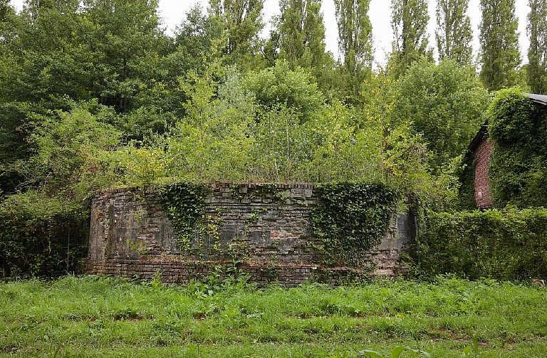 Vue détaillée de la remise, depuis le sud.