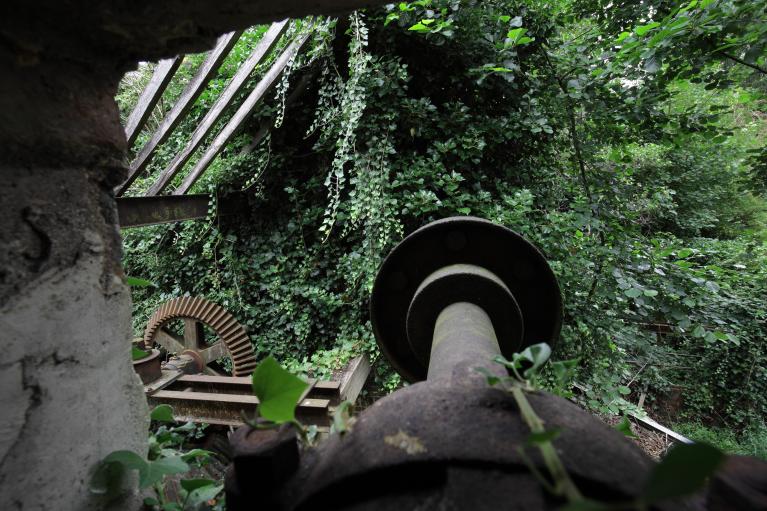 Axe de transmission de l'énergie produite par la turbine.