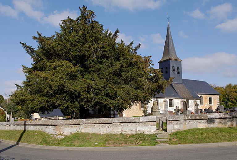 Vue d'ensemble du site de l'église, avec l'enclos du cimetière et son if.