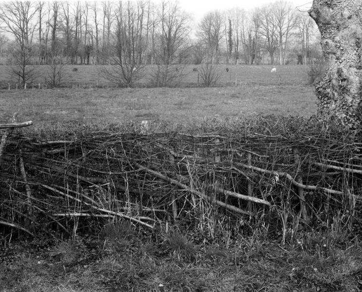 Le pays fort, bocage, vue d'ensemble.