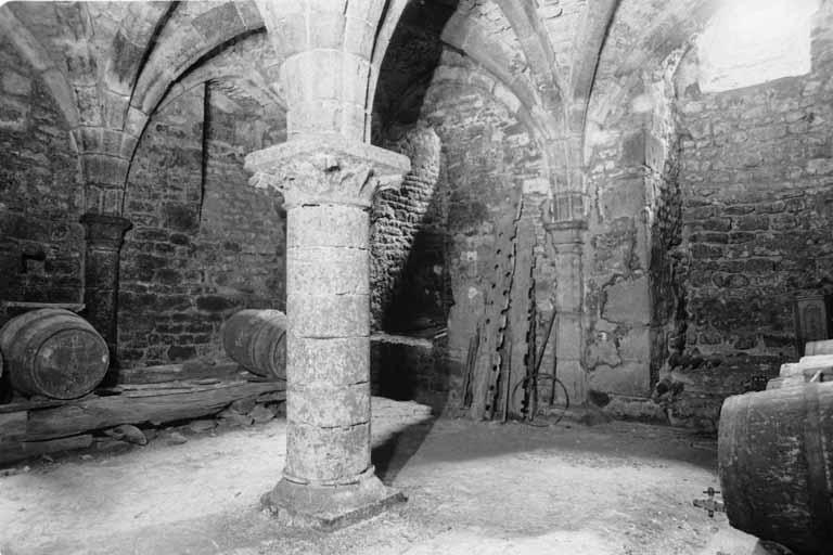 Vue d'ensemble de la cave voûtée.