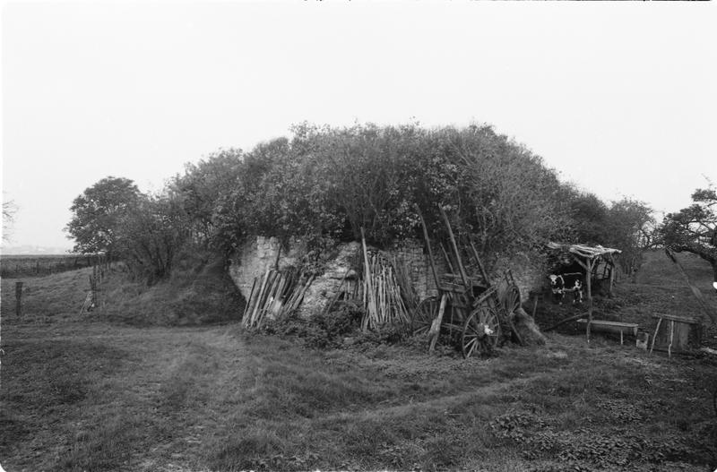 Vue d'ensemble.