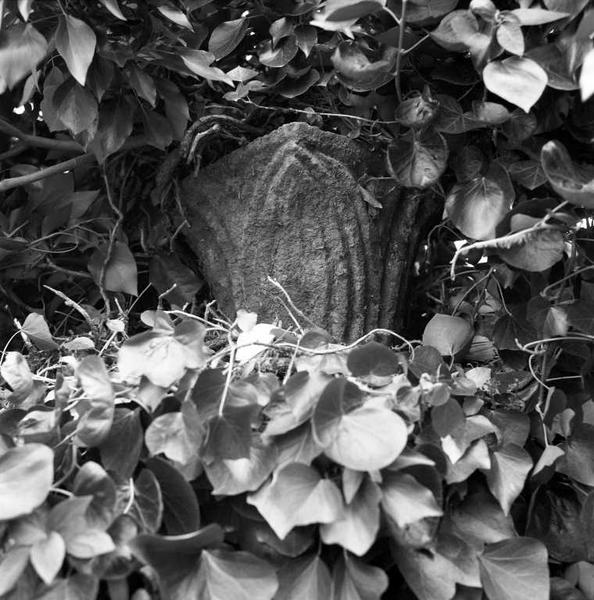 Quatrième chapiteau déposé dans le jardin de l'ancien presbytère de Maray.