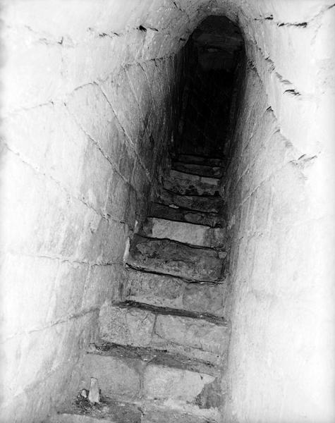 Sous-sol, escalier d'accès : deuxième section.