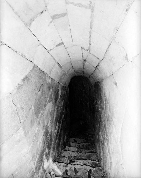 Sous-sol, escalier d'accès : première section.