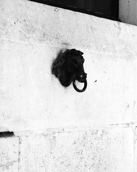 Détail d'un anneau.