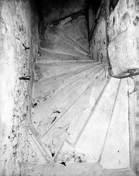 Tourelle d'escalier : revers de la première volée.