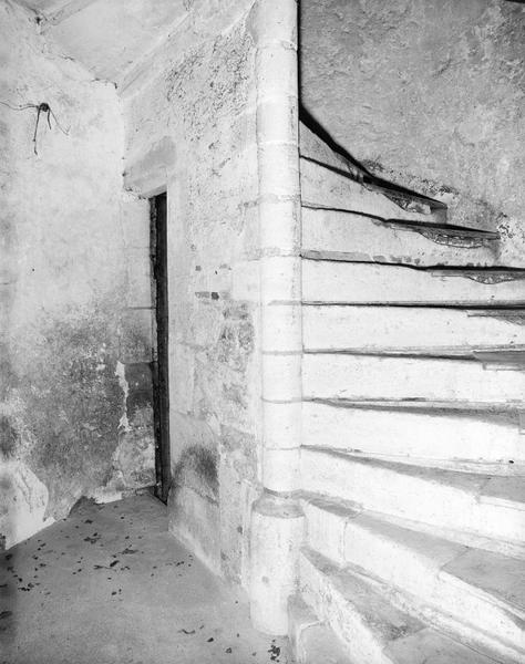 Tour d'escalier : départ de la première volée et porte d'accès à la cave.