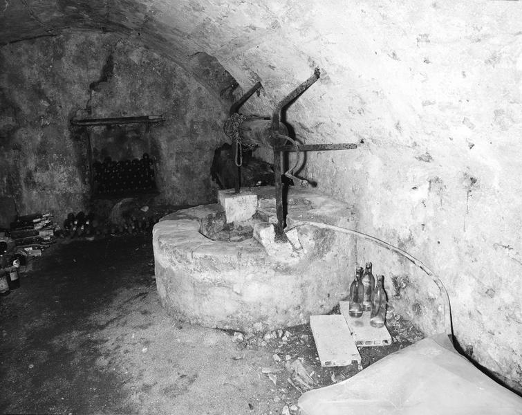Puits intérieur : cave, puits à margelle - rue des Chenevières (8).