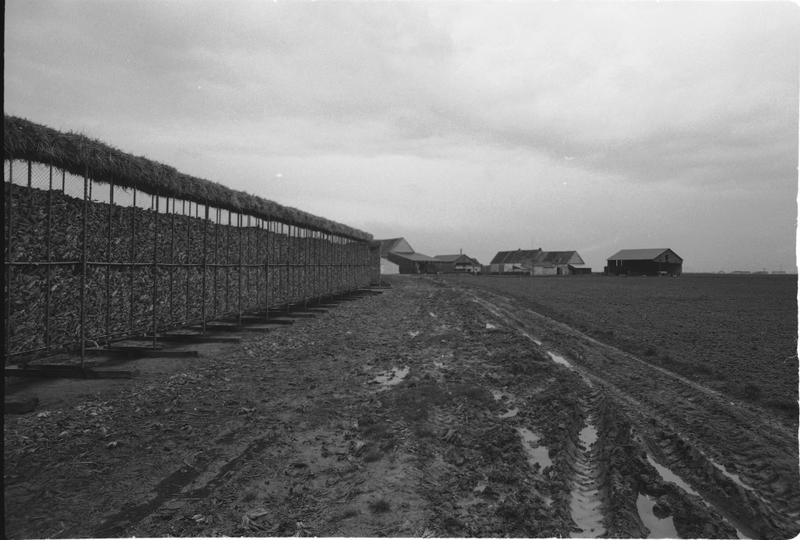 Vue générale de la ferme.