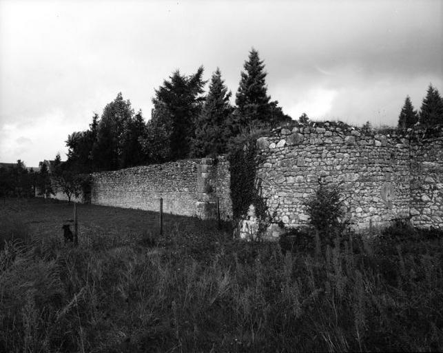 Enceinte du cloître, mur ouest, contreforts.