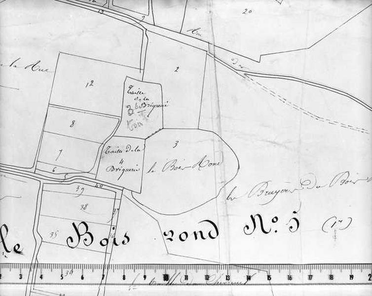 Motte féodale. Extrait du plan du cadastre napoléonien.