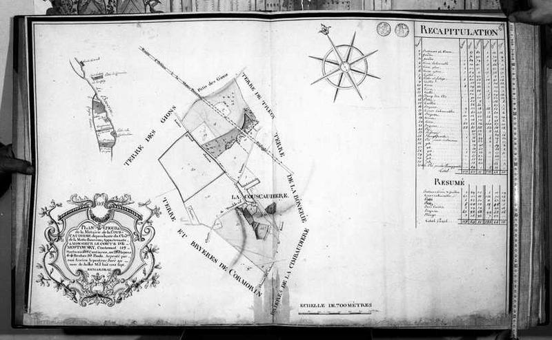 Plan du domaine du château, métairie de la Couscaudière.
