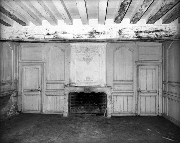Vue d'ensemble de la cheminée.