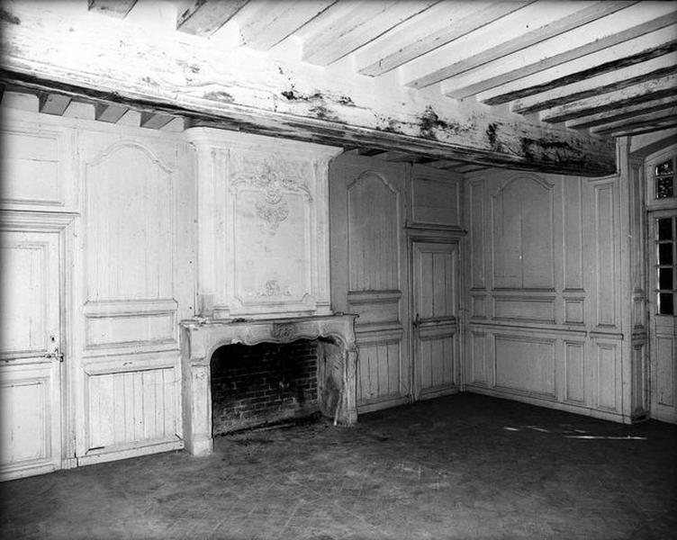 Vue d'ensemble de la cheminée.
