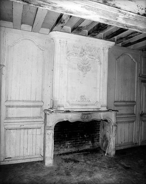 Vue d'ensemble de la cheminée.