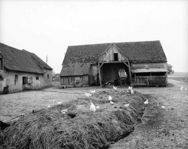 Vue d'ensemble.