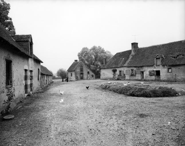 Vue générale vers le nord.
