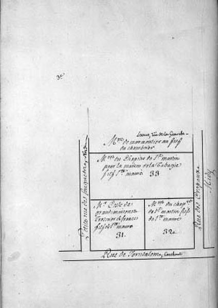 Plan terrier du chapitre Saint-Martin, fief de Sainte-Maure et de Puy-Chatel, 1749.