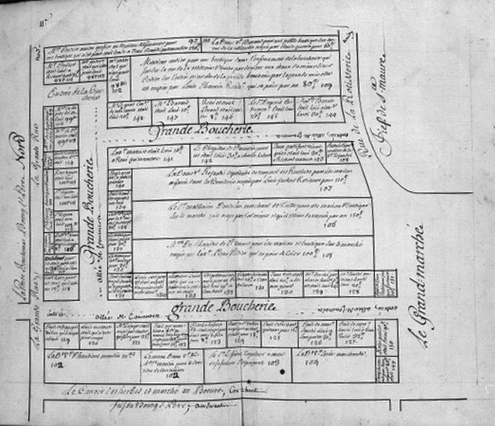 Plan terrier du chapitre Saint-Martin, fief de Sainte-Maure et de Puy-Chatel, 1749.