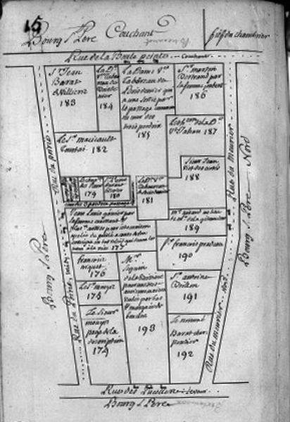 Plan terrier du chapitre Saint-Martin, fief de Bourg Saint-Père, 1749.