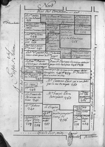 Plan terrier du chapitre Saint-Martin, fief de Bourg Saint-Père, 1749.