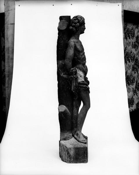 Profil droit.