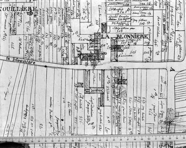 Plan censif du Roy et de la Foltière ; détail : la Blonnière ; milieu 18e siècle.