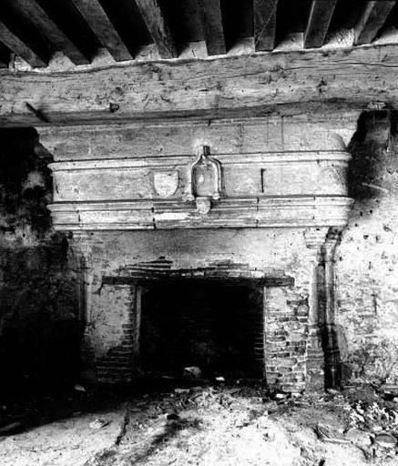 Cheminée au rez-de-chaussée de l'ancien logis.