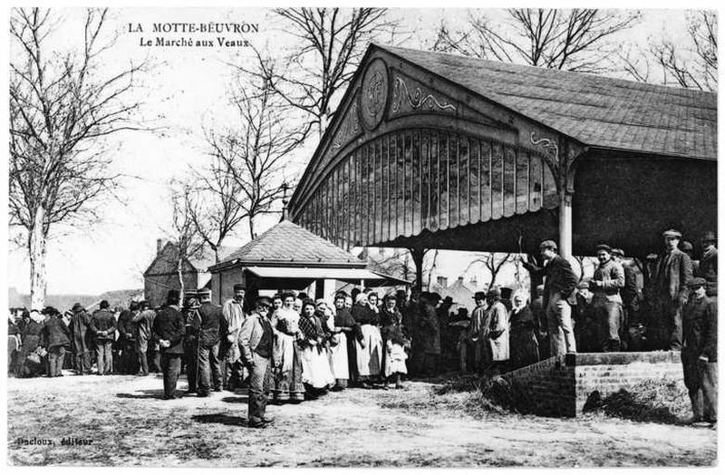 Vue d'ensemble du marché aux veaux.