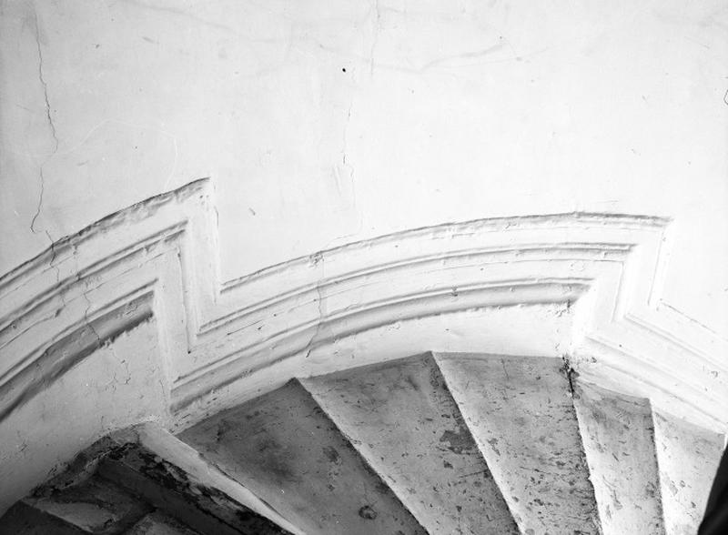 Escalier, intérieur. Détail : mouluration sous les marches de l'escalier.